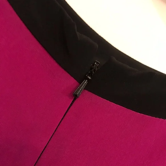 Silk Colorblock Shift - Picture 5 of 6